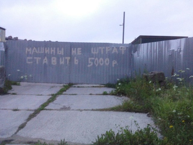 Картинки по-приколу