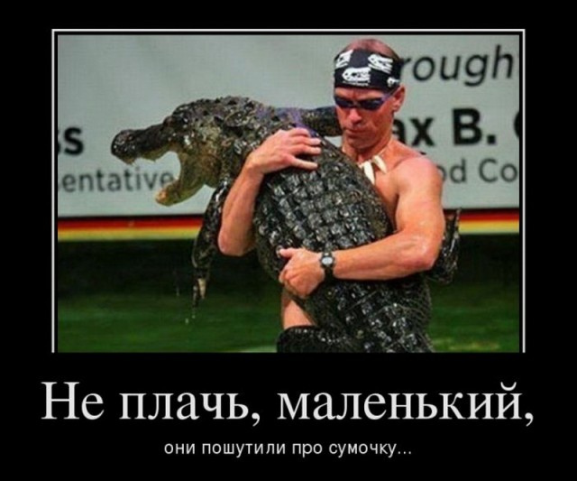 Забавное из сети