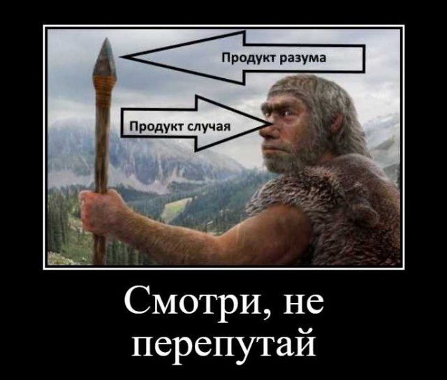 13 мифов об эволюции человека