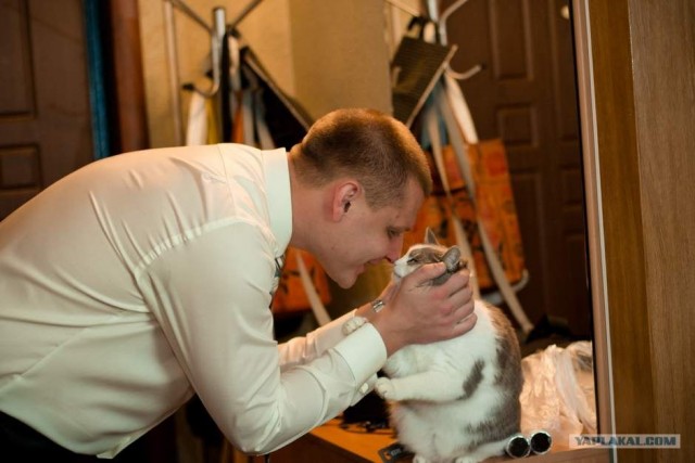 Котовторник 20.12.2011