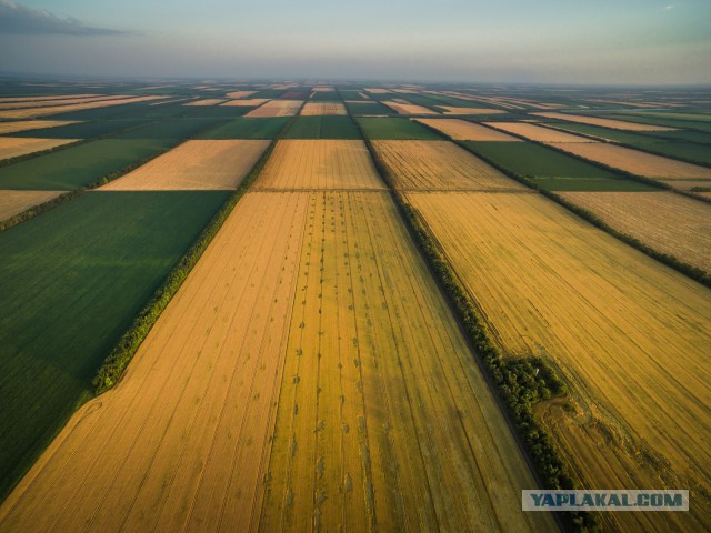 Поля на курорте