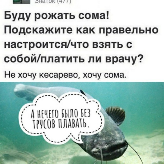 Немного картинок для настроения