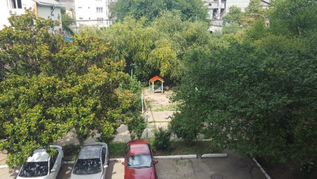 Дорогие борцы с режимом, старайтесь больше времени уделять учебе и работе.