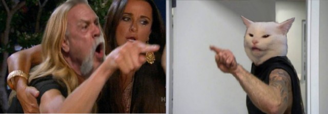 Мем: Две женщины орут на озадаченного кота за столом