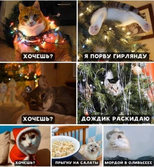 Праздничная чернь