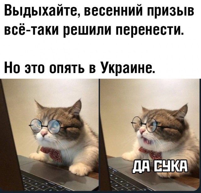 Немного картинок для настроения 25.03.20