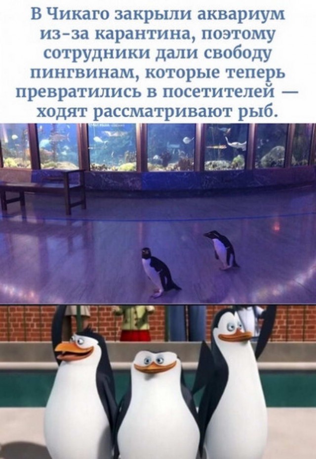 За 500 гитару не купишь и чем отличается девушка от женщины