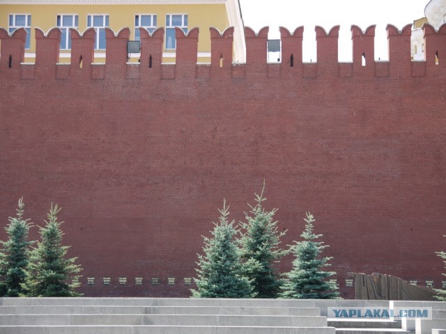 "У нас не Европа!" - почему россияне выбирают высоченные заборы и смеются над живой изгородью