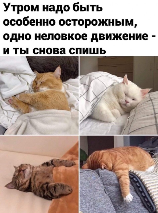 Картинки и мемы для настроения 017