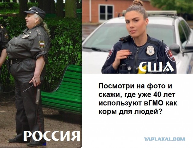 Генетически модифицированное оно. До сих пор страшно?
