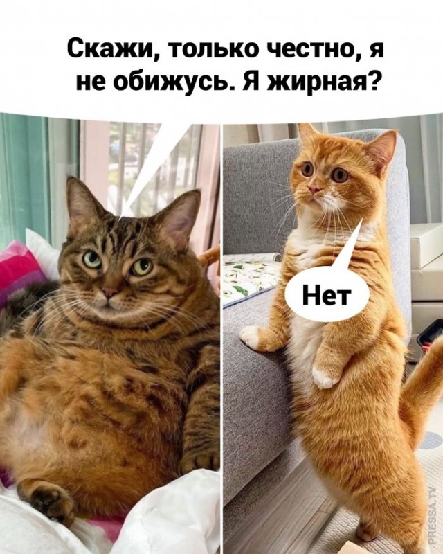 Картинки и мемы для настроения 011