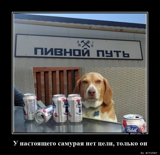 Пандемия. Коронавирус. Россия и мир. Последняя информация. Часть 21
