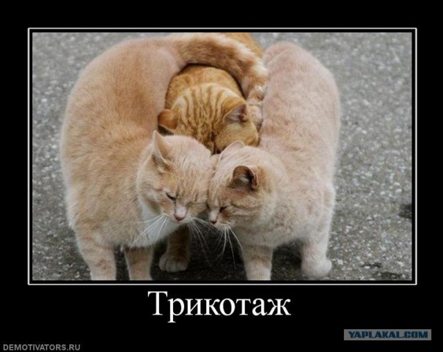 Как вы меня за@...и