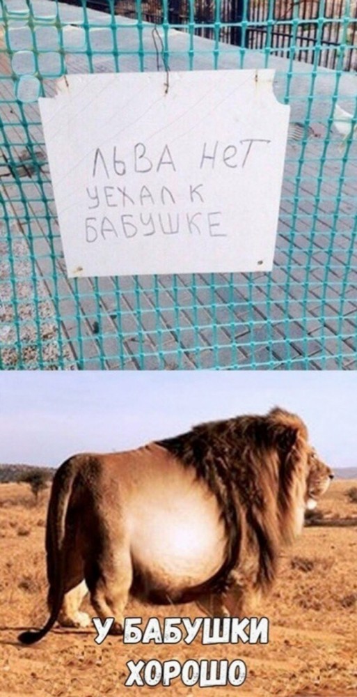 Мадам и месье, ещё раз бонжур