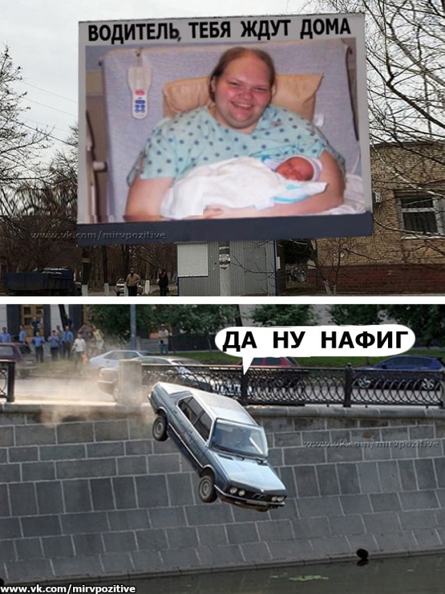 Весёлый полтишок 18.05