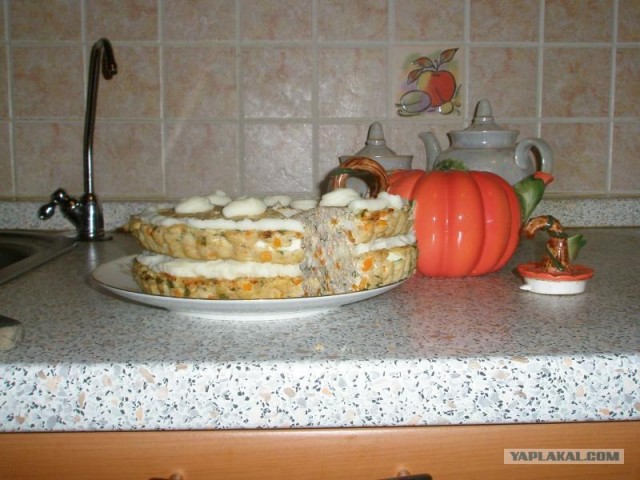 Праздник для питомца