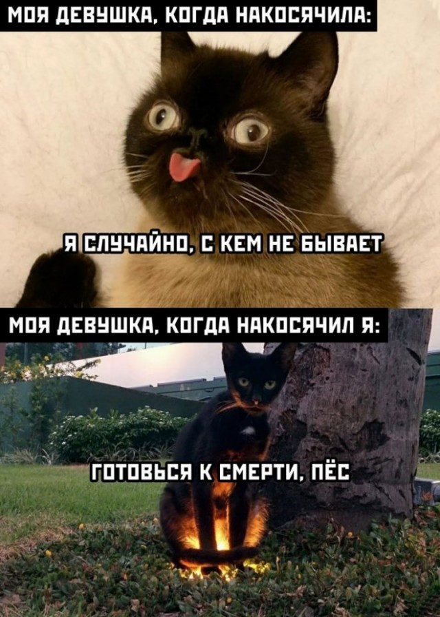 Картинки и мемы для настроения 24.08.2021