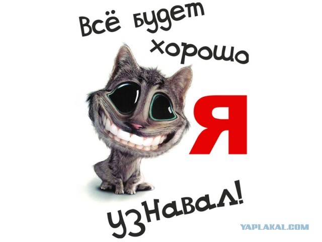 Сына повезли на операцию. Прошу поддержки ЯПа.