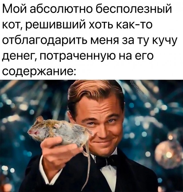 Так себе картинки 12.02.22