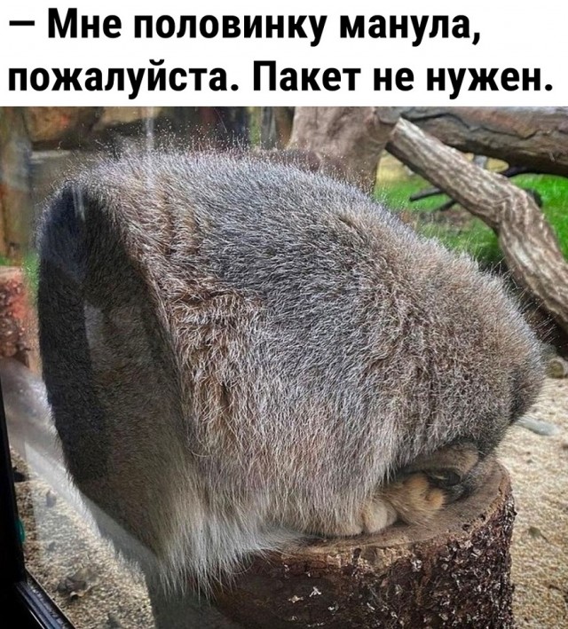 Так себе картинки 05.04.22
