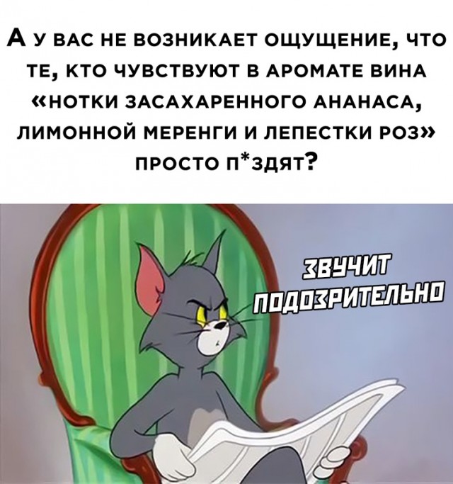 Весёлый полтишок 11.04.22