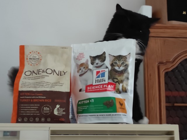 С праздником и котофторником!