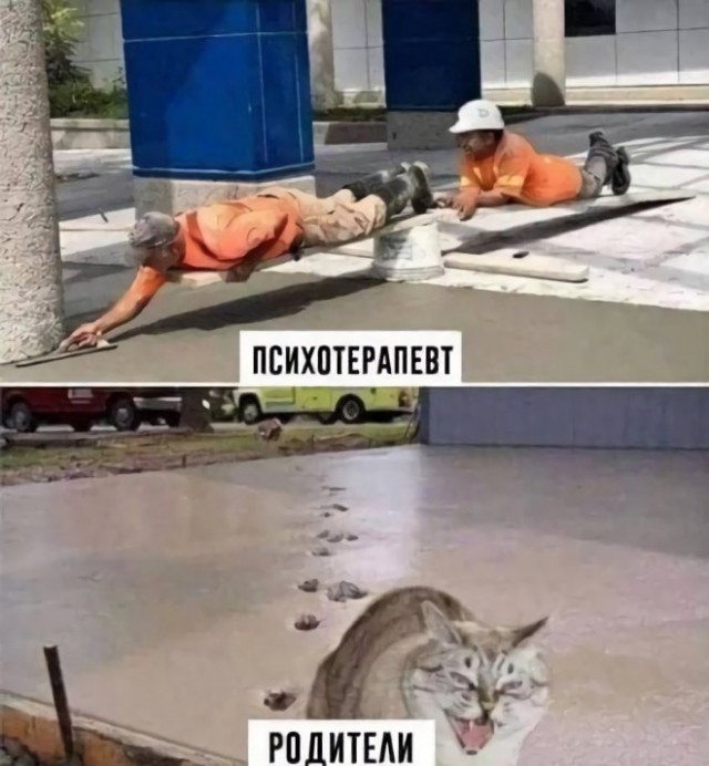 Картинки и мемы для настроения - 21