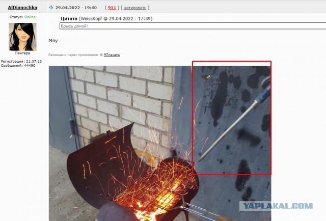 Женской дружбы не существует