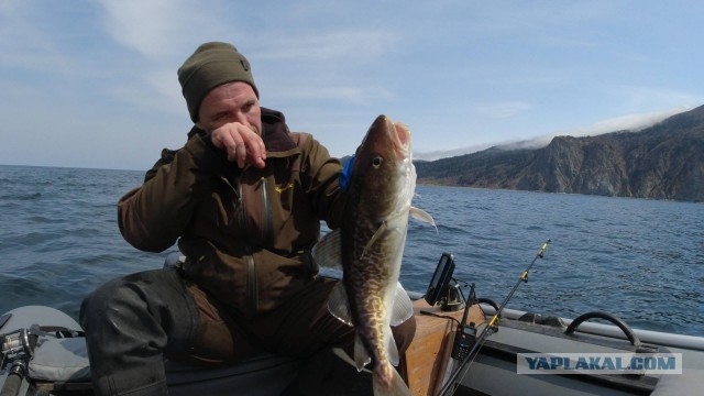 Кунашир. Море. Рыбалка