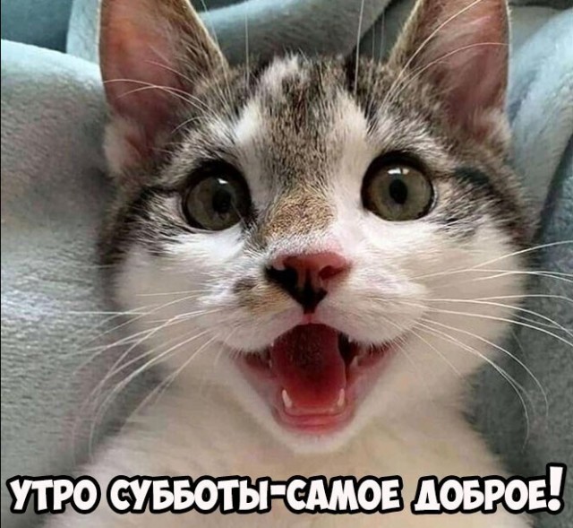 Так себе картинки 21.05.22