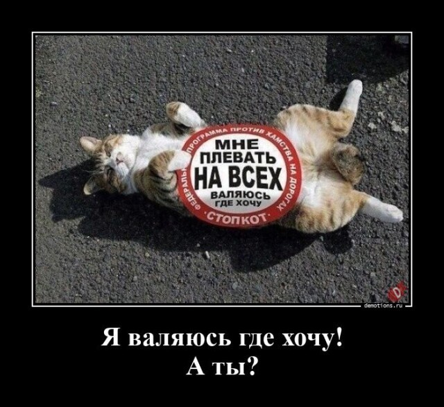 Картинки с надписями 10.09.22