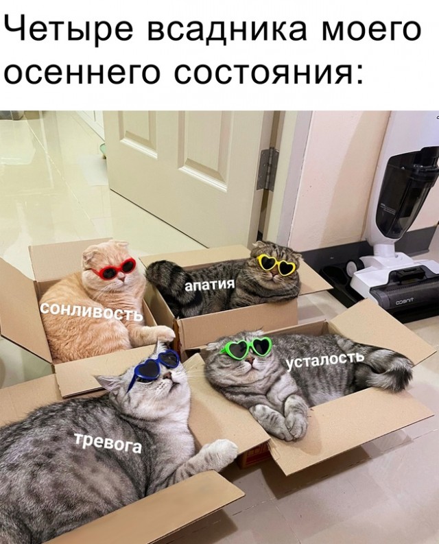 мем субару