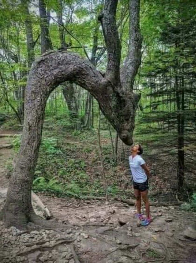 Просто фотографии