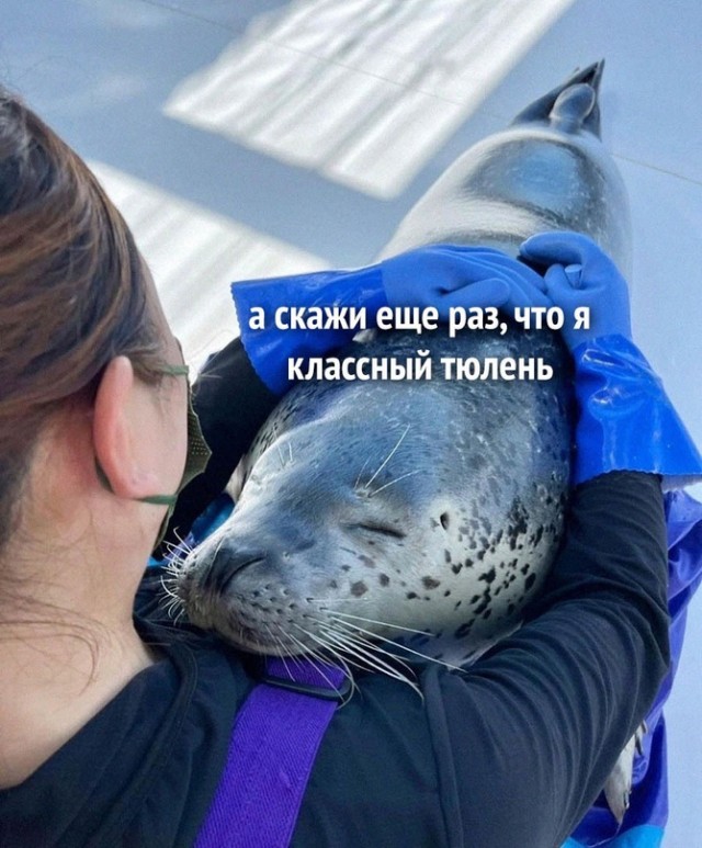 Картинки и мемы, всем хороших выходных