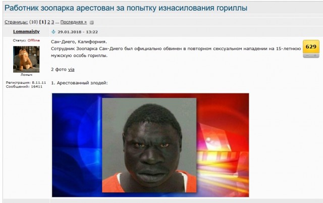 Японский зоопарк провел расследование, чтобы выяснить, как родила обезьяна, которая никогда не видела самцов