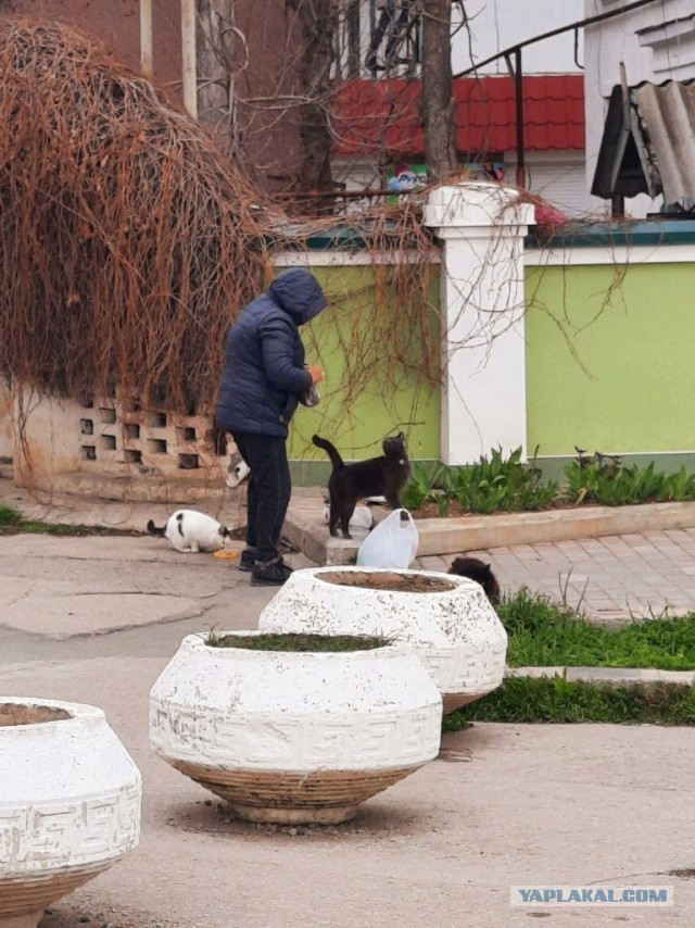 Что такое Доброта или невидимые Герои среди нас