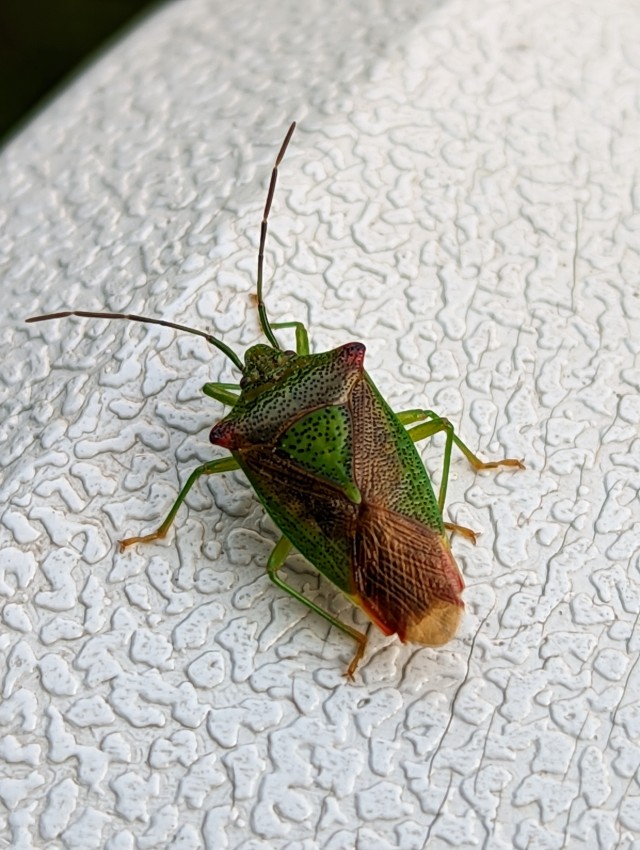 Природа Южного Урала