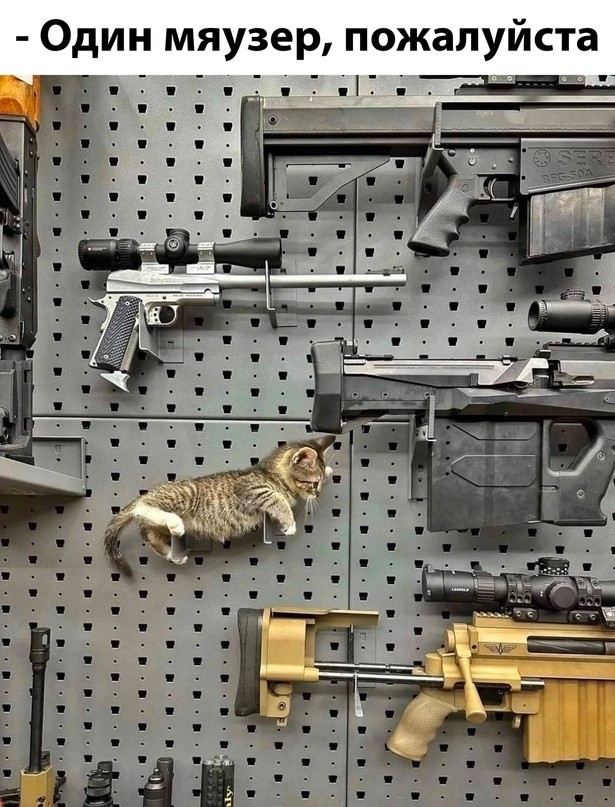 Весёлый полтишок 07.08.23