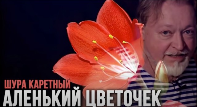 А помните Шуру Каретного?