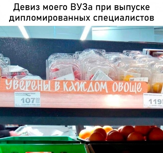Весёлый полтишок 08.09.23