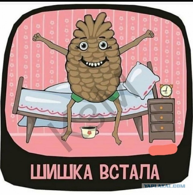 Девушки-зайки. 16+