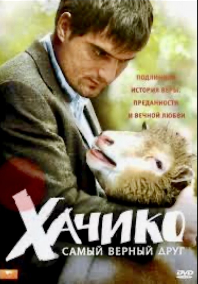 Задержан бородатый!
