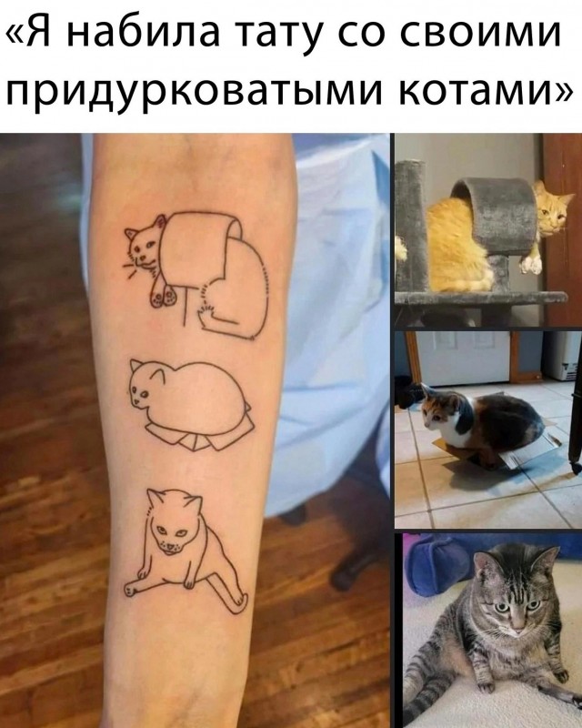 Котокартинки