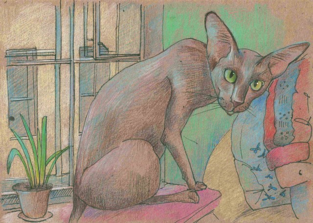 Кошка Фрося