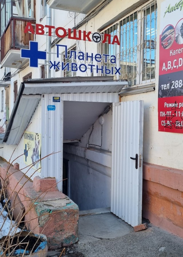 Прикольные и просто красивые картинки 10.05.2024