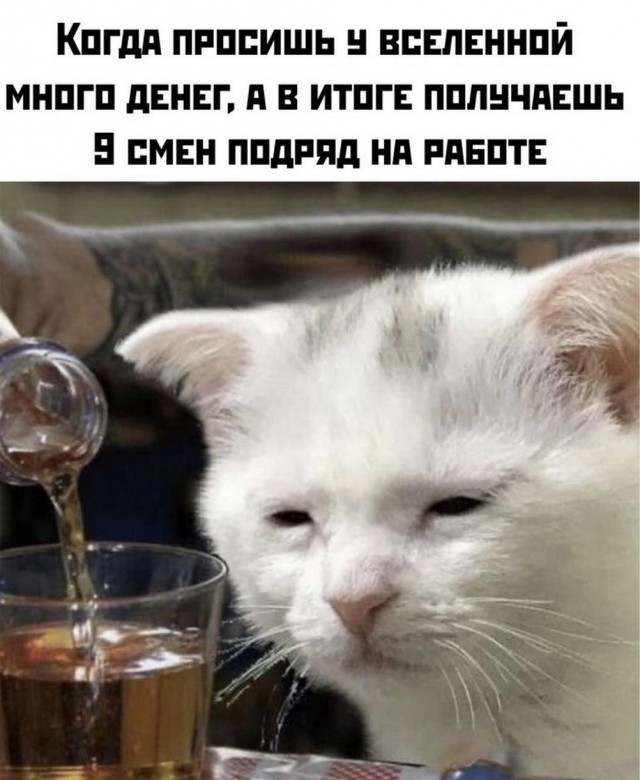 Картинки