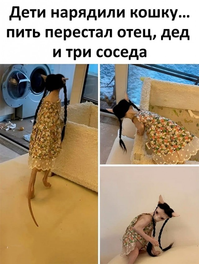 Завалялось тут случайно немного забавных картинок
