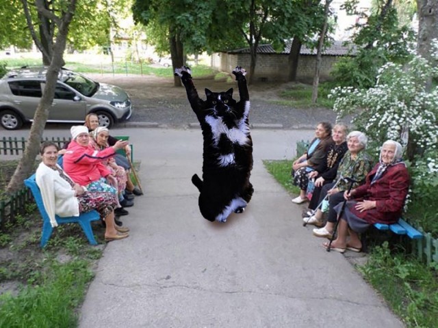 Во славу Котане