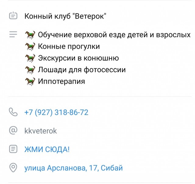 «Является западным веянием». В Башкирии передумали проводить соревнование по хоббихорсингу