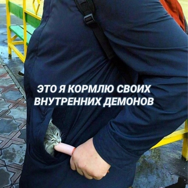 Так себе картинки 20.10.24